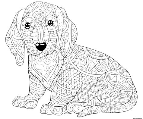 Coloriage chien teckel saucisse allemand  JeColorie.com