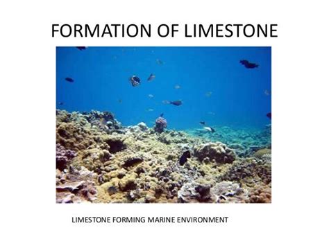 2 Formation Of Limestone