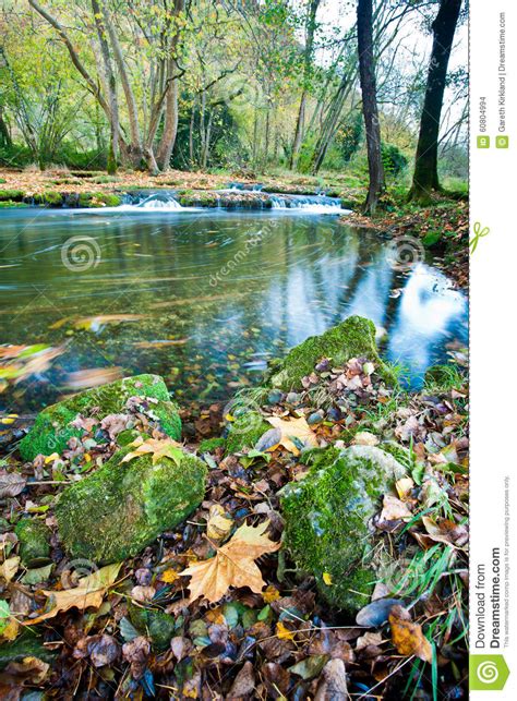Autumn Leaves And Rocks By The Rivers Edge Stock Photo Image Of