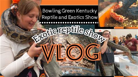 Exotic Reptile Show Vlog I Got Some New Critters Vlogging Snakes
