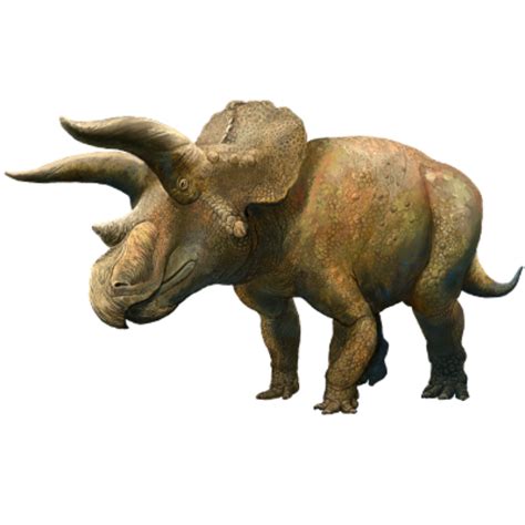 Triceratops Prehistoric Wiki Fandom