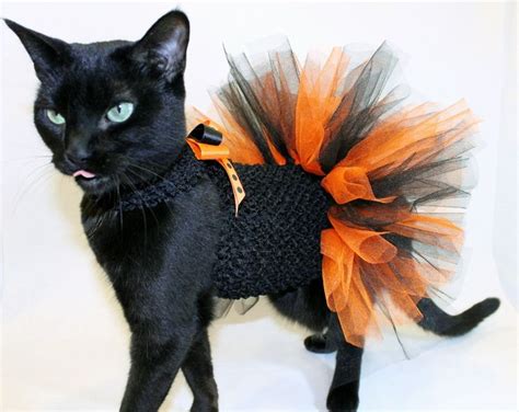 Coolcats Orange And Black Halloween Costume Tutu For Cats Cat