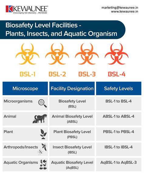 Cdc Classification Of Biosafety Levels Kewaunee International Group Riset