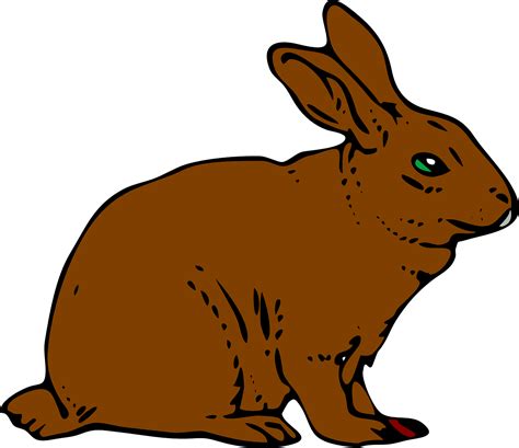 Kaninchen Hase Brown Kostenlose Vektorgrafik Auf Pixabay