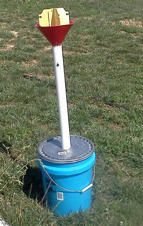 Japanese Beetle Trap We Just Attached The Vane And Lure