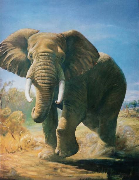 African Elephant Painting By Peter Jean Caley