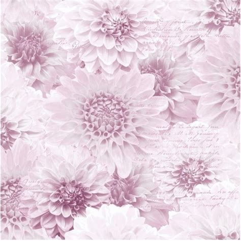 Muriva Chrysanthemum Wallpaper Pink 128504 Wallpaper From I Love