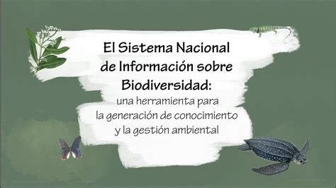 El Sistema Nacional de Información sobre Biodiversidad YouTube