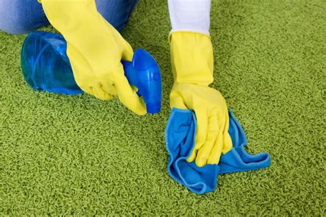 We have a very large backyard, which is in the process of being cleared. How to Get Dried Dog Urine Out of Carpet | Hunker