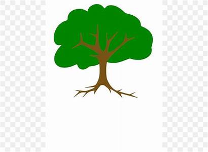 Tree Clip Clipart Roots Branch Root Cliparts