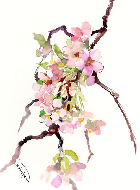 Cherry Blossom Branch Sakura Blossom Art Print By Surenart Cherry