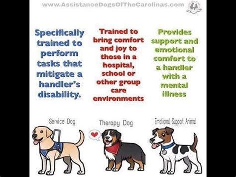 What's the difference between an emotional support animal (esa) and a service dog? Emotional Support animals, Service animals and Therapy ...