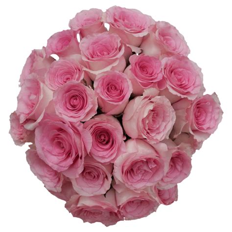 Each of our floral ensembles are created by expert craftsmen and hand delivered by local florist shops. 50 Stems of Light Pink Champagne Mandala Roses- Beautiful ...