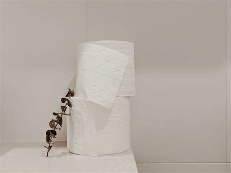 Biodegradable Toilet Paper What You Should Know Toiletsman