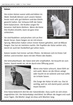 German Reading Comprehension- Deutscher Sachtext- Lesen 1 - Tiere
