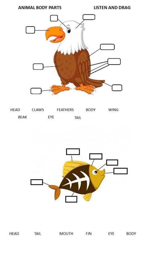 Animal body parts online exercise for 1º | Animal body parts, English