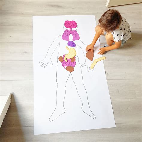 Hart Van Mama Of Anatomie Les Voor Een Vierjarige Menselijk Lichaam Knutselen Menselijk