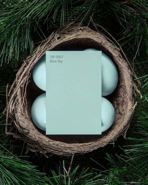 Sherwin Williams Blue Sky Paint Color Inspiration Robins Egg Blue