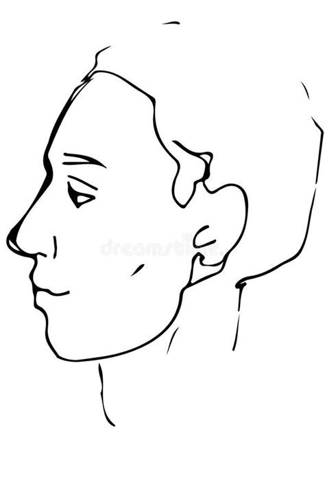 Sketch To Portrait Of A Young Man S Profile Stock Vector Illustration