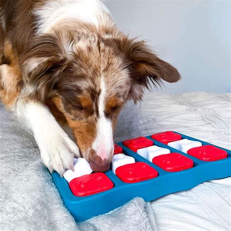 Compra Nina Ottosson Puzzle Dog Brick Bigos Mascotas