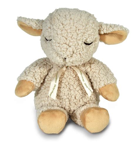 Cloud b, maker of the sleep sheep ® and twilight turtle®, creates products to help children sleep. Buy Cloud B - Sleep Sheep on the go (CB7302-ZZ)