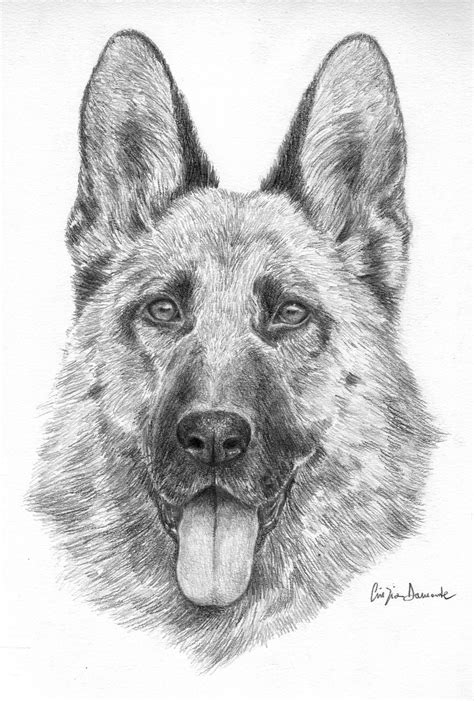 Il cane è il personaggio più conosciuto ed amato dai bambini. Ritratti | Disegno Libero....