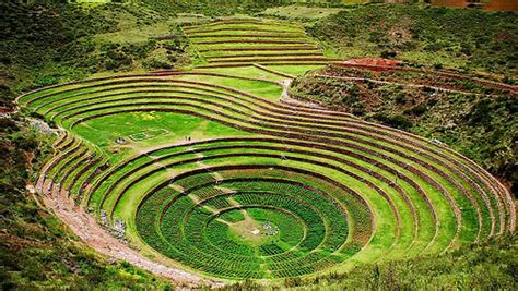 Moray (n.) family of brightly colored voracious eels of warm coastal waters; The Moray city photos and hotels - Kudoybook