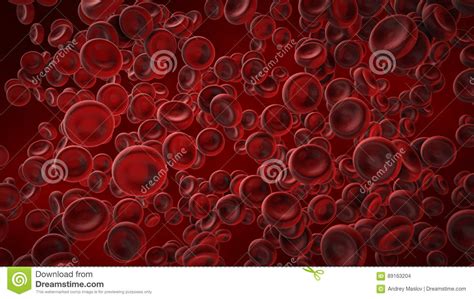 View Under A Microscope Blood Red Blood Cells In A Living