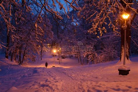 Winter Evening Scene Stock Image Image Of Landscape 53583081