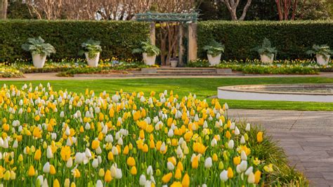 Dallas Arboretum And Botanical Garden Dallas Holiday Rentals Houses