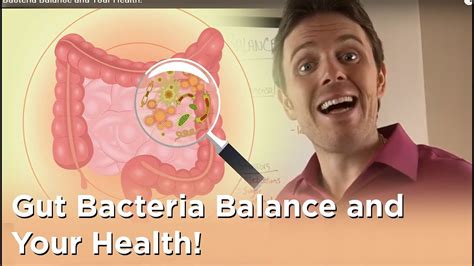 Gut Bacteria Balance And Your Health Youtube