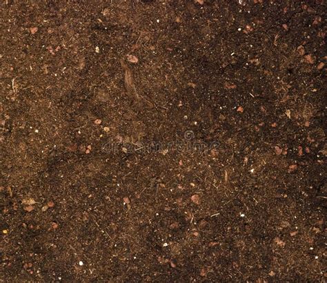 Close Up Of Soil Stock Photo Image Of Nature Earth 16574226