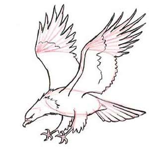Gambar burung elang, gambar burung, gambar burung garuda, gambar burung hantu, gambar. Gambar Kolase Elang - golek gambar