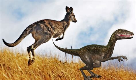 Kangaroos Are Basically Dinosaurs Rfunny