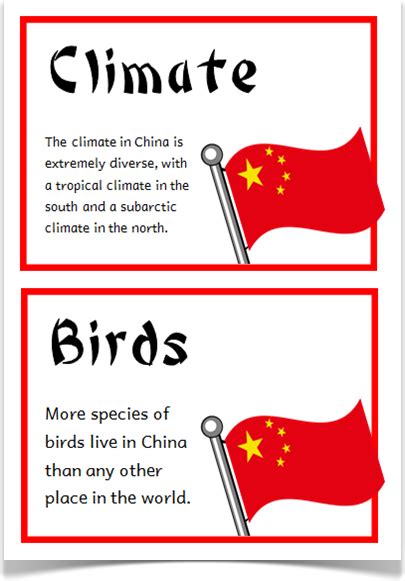 China Fact Cards Treetop Displays A Set Of 18 A5 Fact Cards That