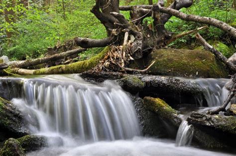 Small Waterfall On A Peaceful Mountain Spring Stock Photo Image Of