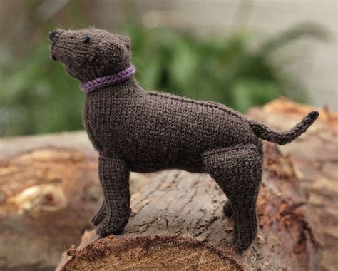 Knit your dog will even do the knitting for you. Dog Knitting Patterns | In the Loop Knitting