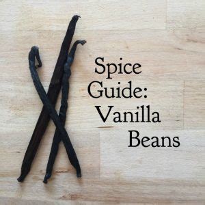 Spice Guide Vanilla Beans