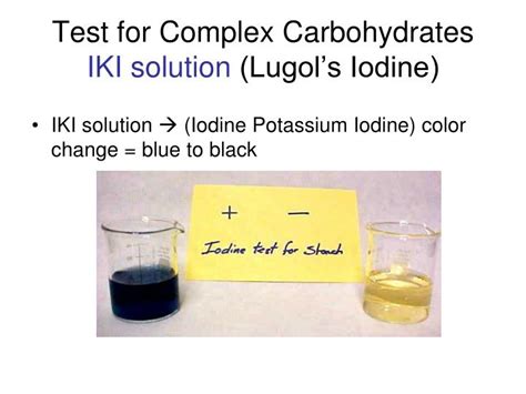 Iodine forms a blue, black, or gray complex with starch and is used as an experimental test for the presence of starch. PPT - IDENTIFYING MACROMOLECULES IN FOOD LAB PowerPoint ...