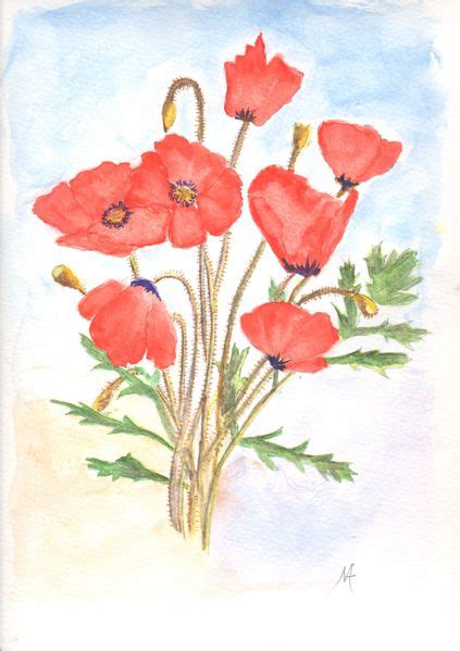 Bouquet de coquelicots by perlier is a coquelicot dessin. Coquelicot, joli coquelicot Aquarelle d'hiver... - Le blog ...