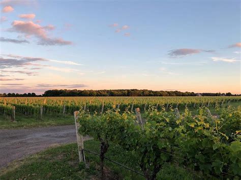 Long Island Wineries 10 Best Sites For Wine Loving Travelers Trekbible