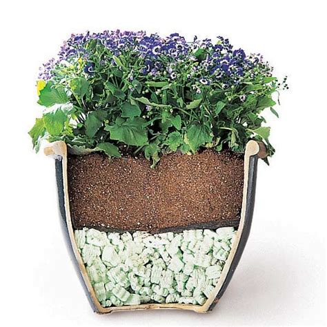 Maybe you would like to learn more about one of these? Tips for Moving Heavy Potted Plants | The Family Handyman