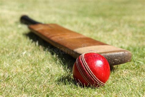 A cricket bat is probably the most expensive item in your cricket bag, so it makes sense to get the right one. Cricket bat and ball stock image. Image of recreational ...