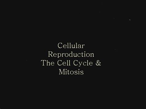 Cellular Reproduction The Cell Cycle Mitosis 9 Ch