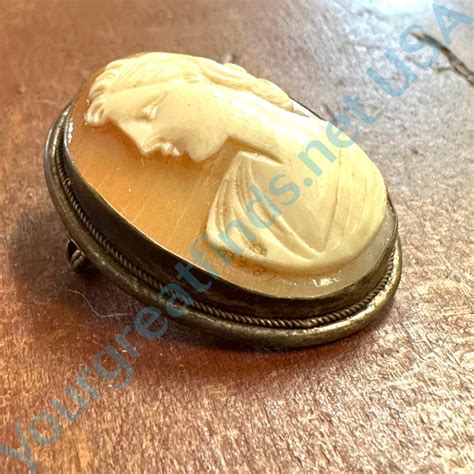 Vintage Italian Carved Shell Cameo Pin Pendant Yourgreatfinds