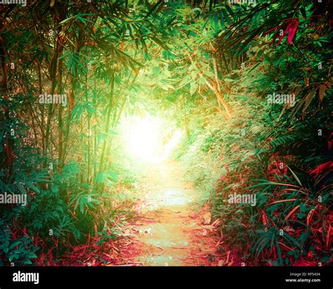 Surreal Colors Of Fantasy Landscape At Tropical Jungle Forest With