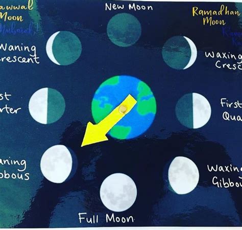 Moon Phases Game Buzz Ideazz