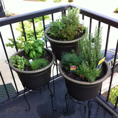 Balcony Herb Garden Dream Home Pinterest