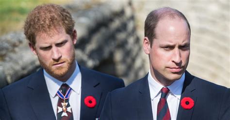 prince harry and prince william reunite in honor of late mother princess diana