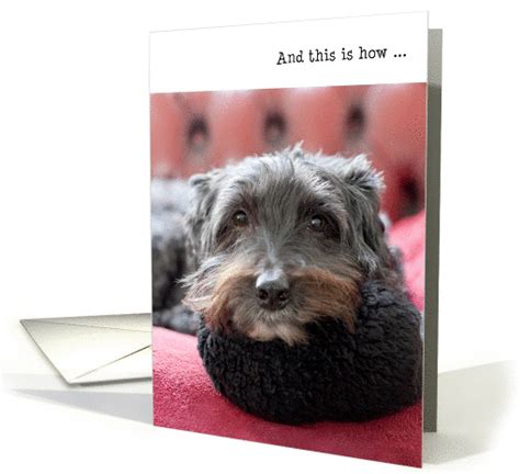 Make a dramatic entrance at their home and place of work and make sure to perform a 21 clever happy birthday messages for a card or social media. Humorous Birthday Card - Clever Dog card (931119)